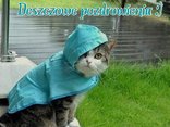 DESZCZOWE POZDROWIENIA