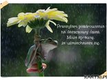 Deszczowe pozdrowienia