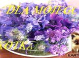 dla