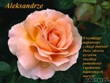 Dla Aleksandra