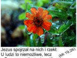 Dla Boga wszystko jest możliwe