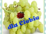 dla ciebie