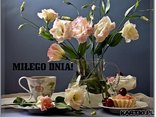 DLA CIEBIE...**
