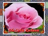 Dla Ciebie Kochanie