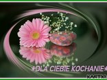 *DLA CIEBIE,KOCHANIE*