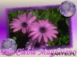 Dla Ciebie Magdaleno!