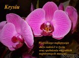 Dla Krystyny