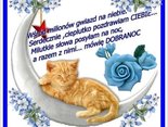 Dobranoc