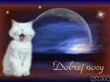 ♥dobrej nocki...