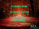 droga do...