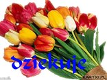 dzieki