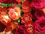 Dziekuje