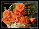 Dziękuję