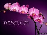 dziękuję