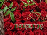 dziękuję