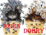 dzien