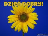 Dzień dobry!