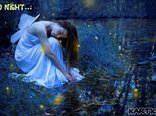 ♥good night...