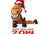Happy New Year 2014!