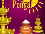 Happy Pongal!