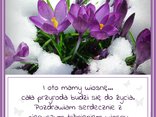 I oto mamy wiosnę