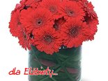 Imieniny Elżbiety