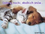 Jamniczkowe pozdrowienia