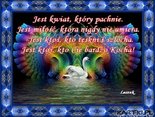 Jest Kwiat ...
