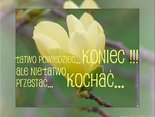 Łatwo powiedzieć koniec...ale nie łatwo przestać kochać...