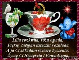 Lilia rozkwita ... :-)