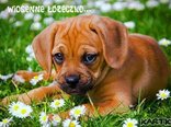 ♥lubie to łóżeczko...