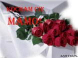 mamo