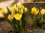 marcowe pozdrowienia