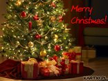 Merry Christmas