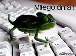Miłego dnia