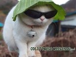 Miłego Weekendu!!