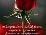 Miłość prawdziwa - tak jak dzwon: ma jedno serce