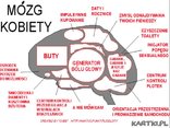 Mózg Kobiety