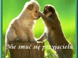 Nie smuć się przyjacielu