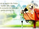Niech to będzie dla Ciebie bardzo miły dzień