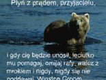 Nigdy nie poddawaj się