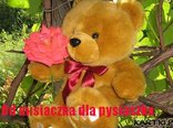 Od misiaczka dla pysiaczka
