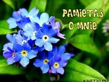 Pamietaj o mnie!