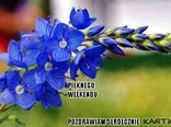 PIĘKNEGO WEEKENDU*