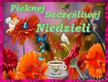 Pięknej i Szczęśliwej Niedzieli Życzę :)