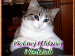 Pięknej i Udanej Niedzieli :-)