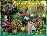 Pięknej Niedzieli Życzę Tobie :-)