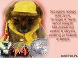 Pogodnych Świąt Bożego Narodzenia