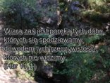 Poręka wiary