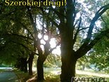 Powodzenia
